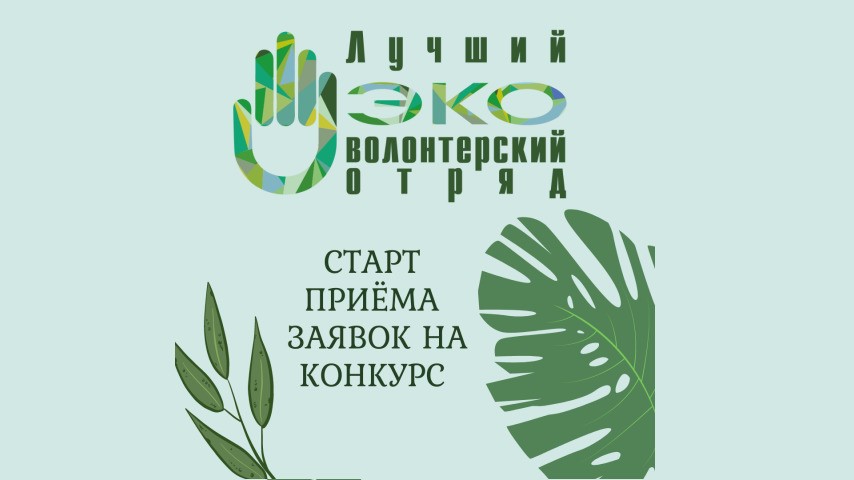 V Всероссийский конкурс «Лучший эковолонтёрский отряд»