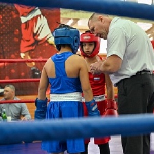 Краевые соревнования по боксу в период с 22 по 27 октября 2025 года в пос. Солнечнодольск